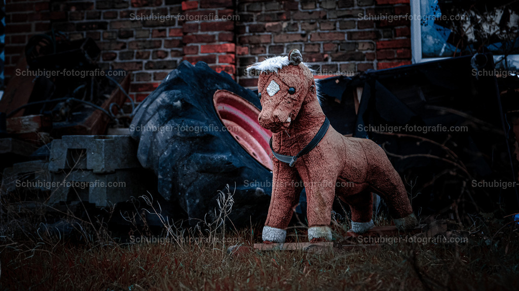 Schaukelpferd | Schaukelpferd - Realisiert mit Pictrs.com