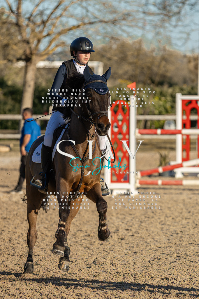 IMG_2426 | s-jay-photography - Realisiert mit Pictrs.com