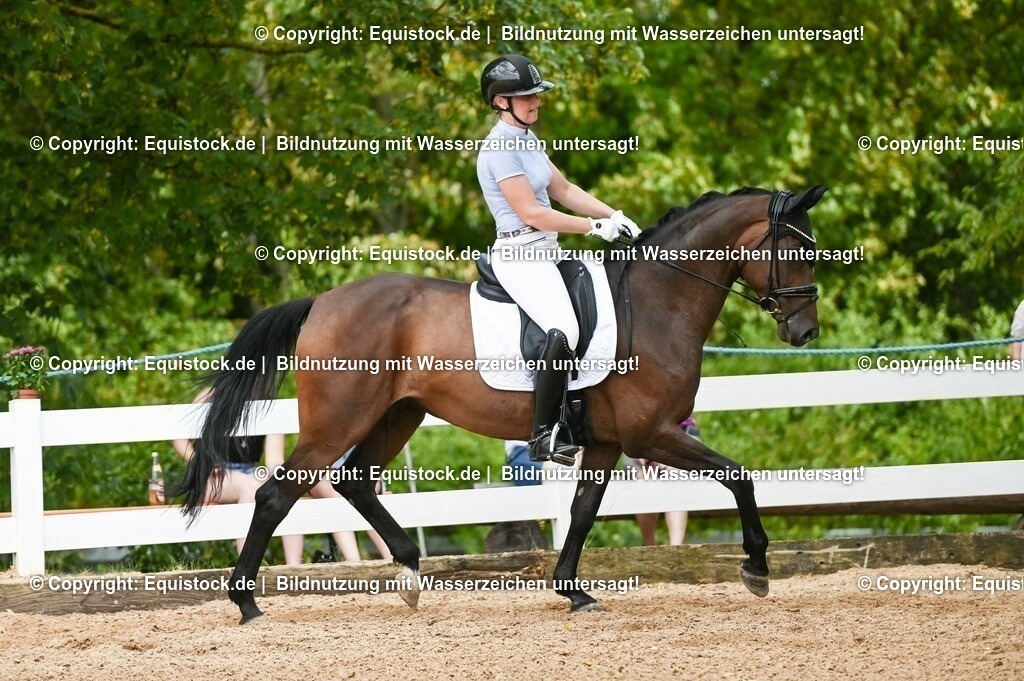 20230715_02_Dressurreiterprüfung Kl.L_0395 | equistock