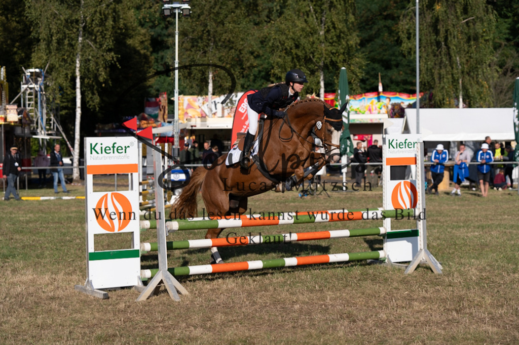 A7V08166 | Pferdefotograf