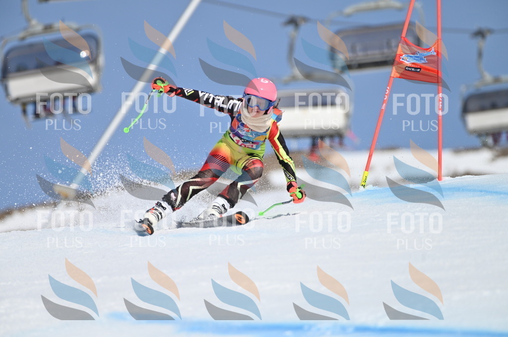 BGV_9540 | holidayphoto