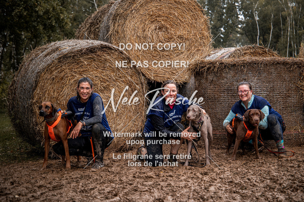 nelerasche_Hunsrück_So09-11_144 | nelerasche
