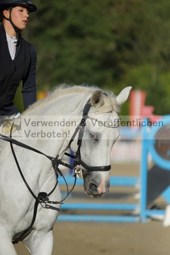 DSC08133 | equestrian-live-com