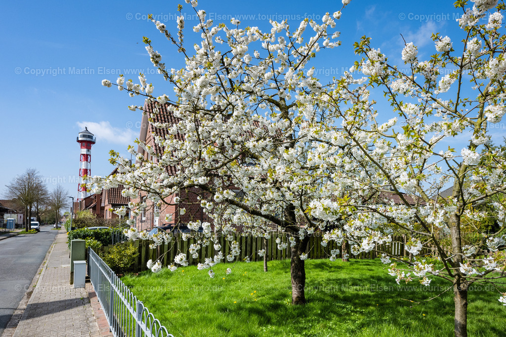 Grünendeich Leuchtturm Kirschblüte_ELS_9788230423 | Fotos aus den Touristenorten aus Norddeutschland. - Realisiert mit Pictrs.com