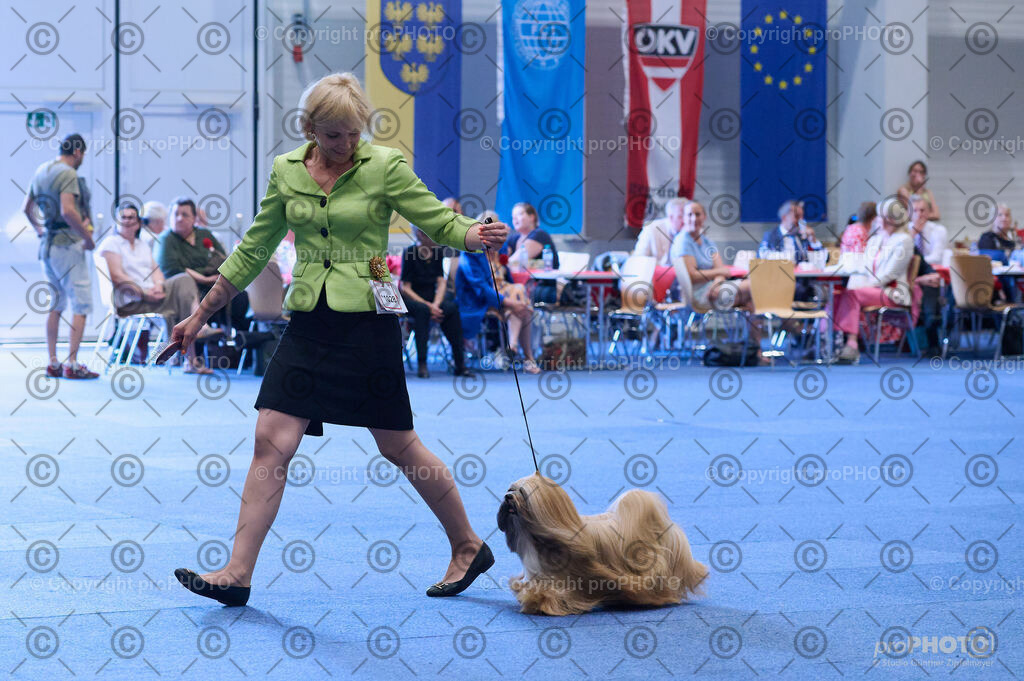 202406_ÖKV-IHA-Tulln24_DSC_4224 | proPHOTO - Realisiert mit Pictrs.com