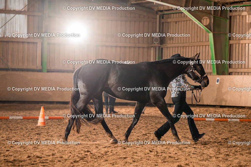 BAL01385 | dv-media-shop - Realisiert mit Pictrs.com