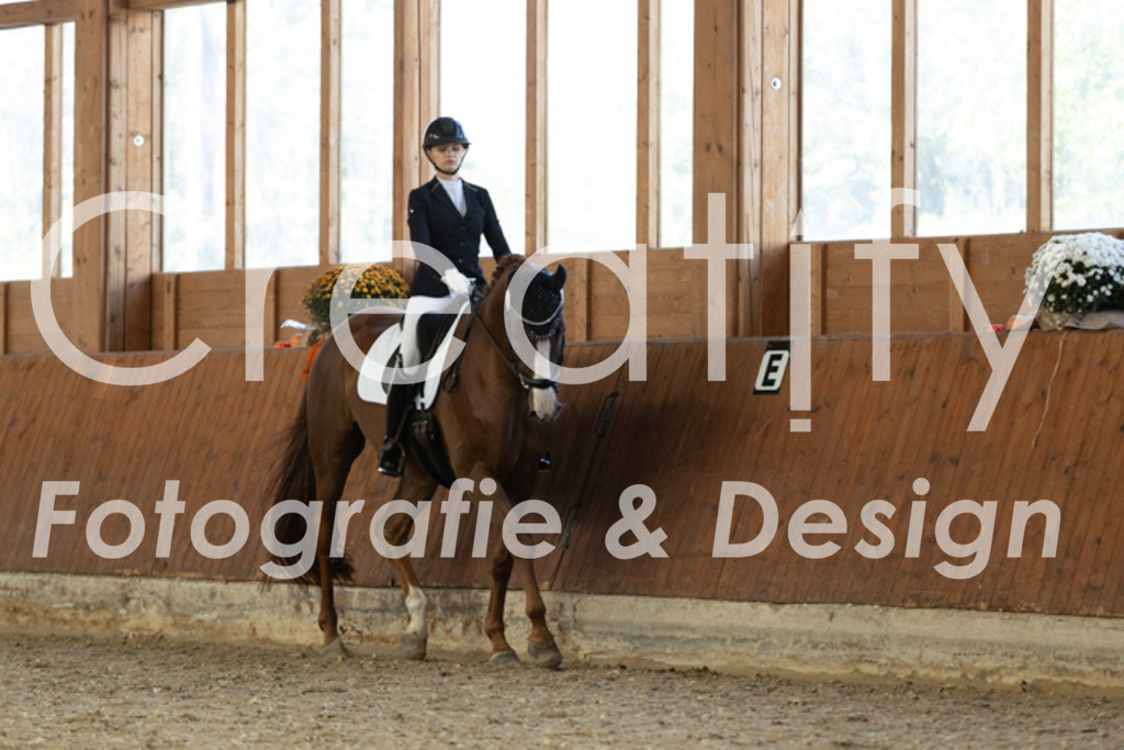 IMG_5076 | Creatify Fotografie