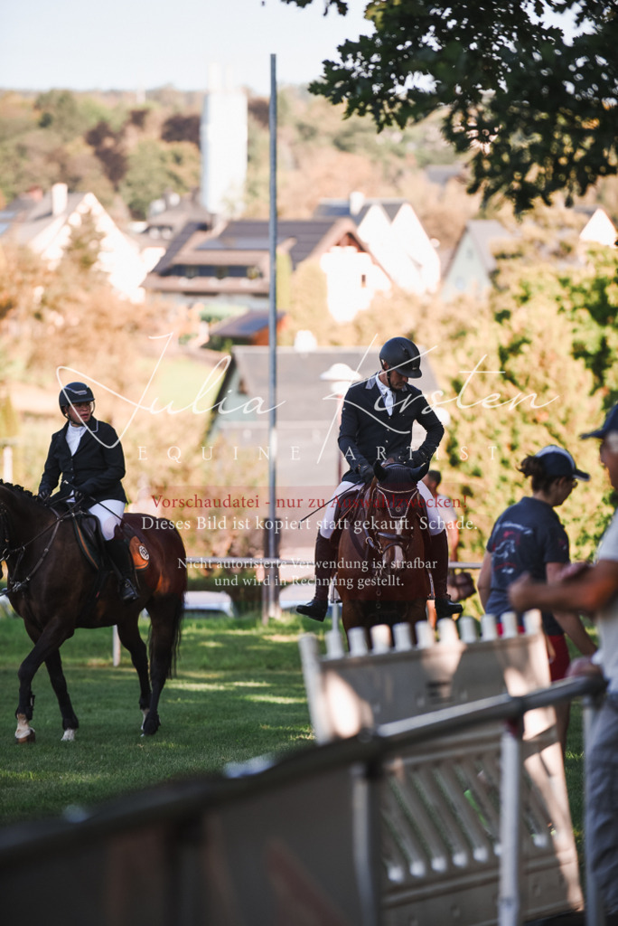 DSC_2134 | Pferde- und Turnierfotografie in Westsachsen. Pferdeportraits, Auftragszeichnungen und intuitive Kunst.