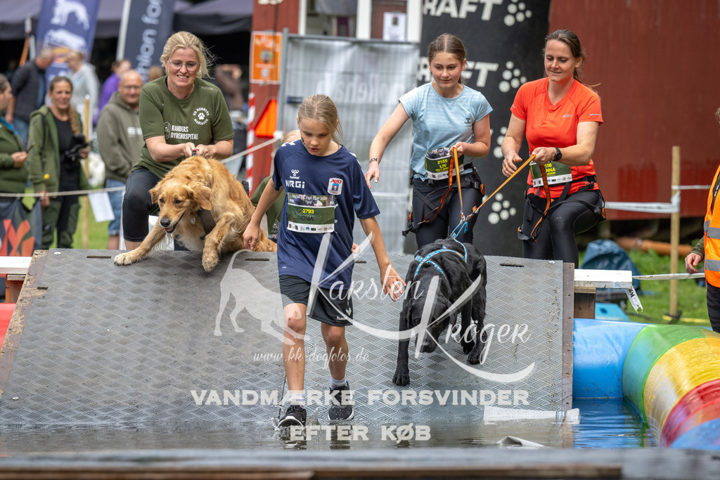 1434_ZZ91411 | kk-dogfotos