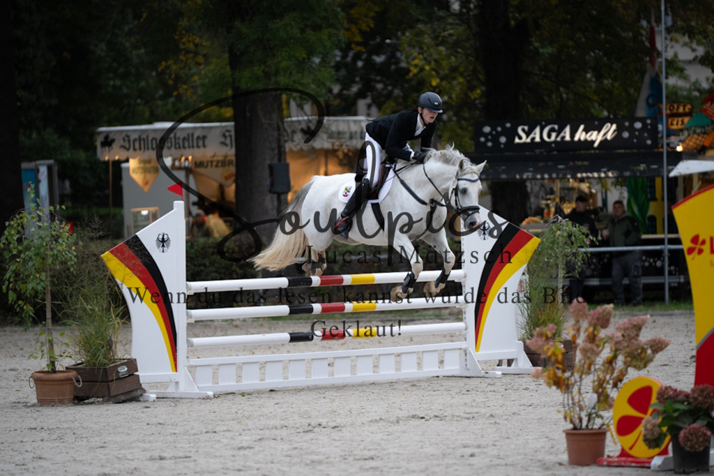 A7V08567 | Pferdefotograf