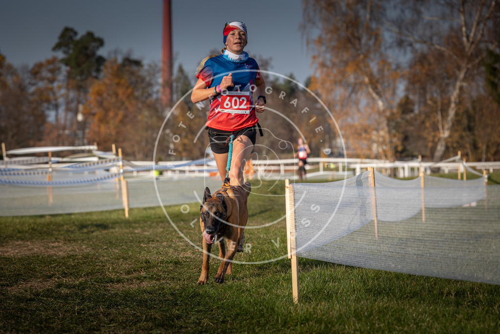 CaniXpix_0L8A9952 | Hundefotografie, Tierfotograf, Pfotenfotografie, Fotoshooting Hund, Hunde Portrait, Hundesport, Hundeportraits, Heideshooting, Hunde, Sportfotograf, Hundefotograf, Turnierhundsport, THS,  - Realisiert mit Pictrs.com