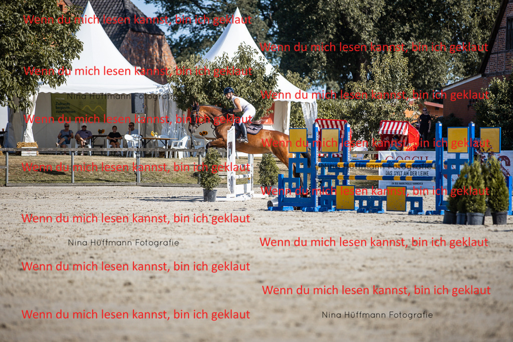 BK1A7269 | Turnierbilder Turnierfotos Nina Hüffmann Turnierfotografie Pferdefotografie Tierzeichnung Haustierzeichnung Pferdezeichnung Hundezeichnung Videograf  - Realisiert mit Pictrs.com