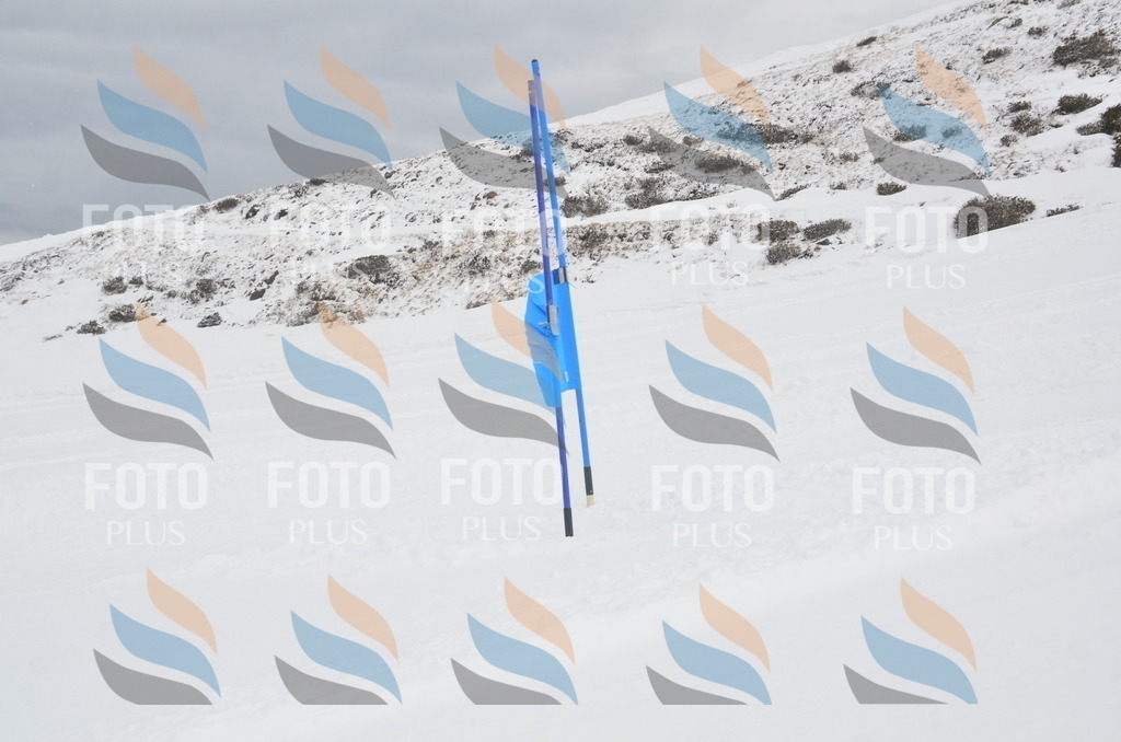 A5843 | holidayphoto