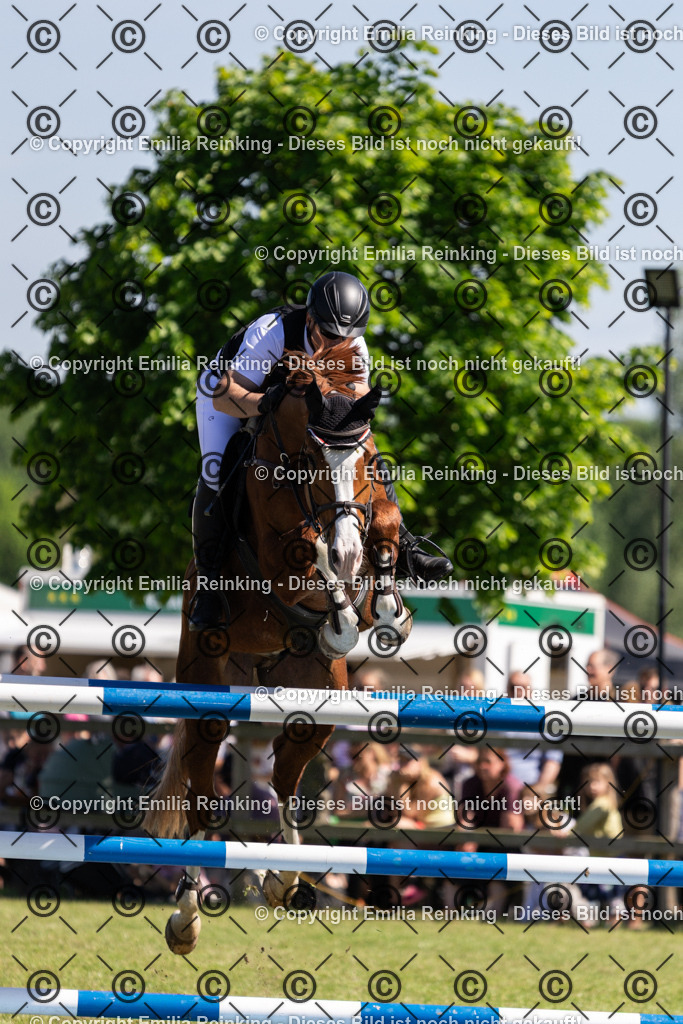 CL5A1340 | Emilia Reinking Fotografie - Realisiert mit Pictrs.com