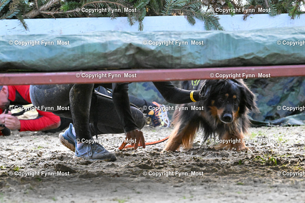 DSC_2685 | Hallo und herzlich Willkommen auf meiner Shop-Seite Fynn Most.

Ich wünsche Dir viel Spaß beim stöbern durch die Bilder, wenn Du Fragen hast oder Bilder vermisst, kannst du mir gerne eine Nachricht schreiben. - Realisiert mit Pictrs.com