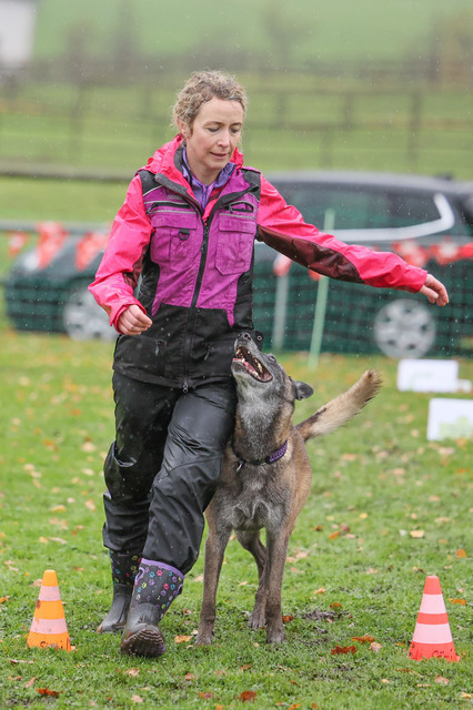 2025_Rally_Obedience_SM-196 | Ich fotografiere Hundeausstellungen, Sportanlässe, Zuchtstätten, Hundezucht, Hundeportrait, Lagotto - Realisiert mit Pictrs.com