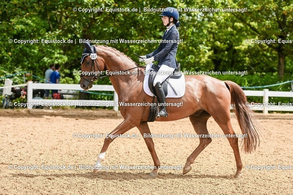 20230716_03_Dressurprfg. Kl.L - Tr._0305 | equistock