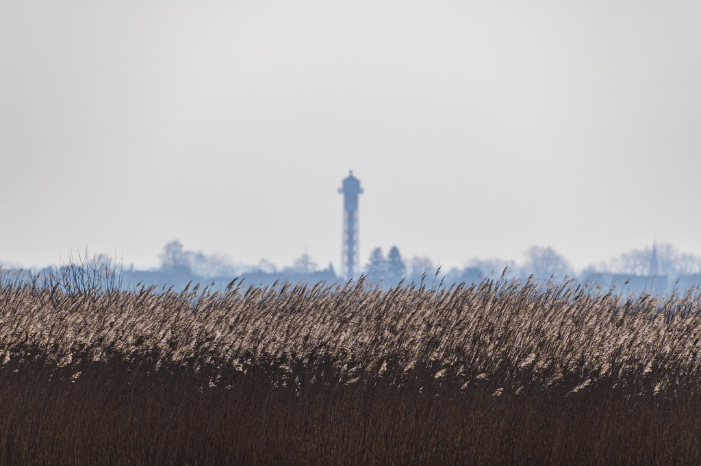 2024_03_03_HETLINGER SCHANZE_MCP6912 | Hochwertig gedruckte Fotografien für die Wand, als Kalender und zum Verschenken. Hamburg & Norddeutschland und überall wo ich mit der Kamera unterwegs war.