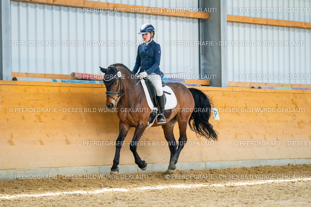 DSC09506 | Pferdegrafie