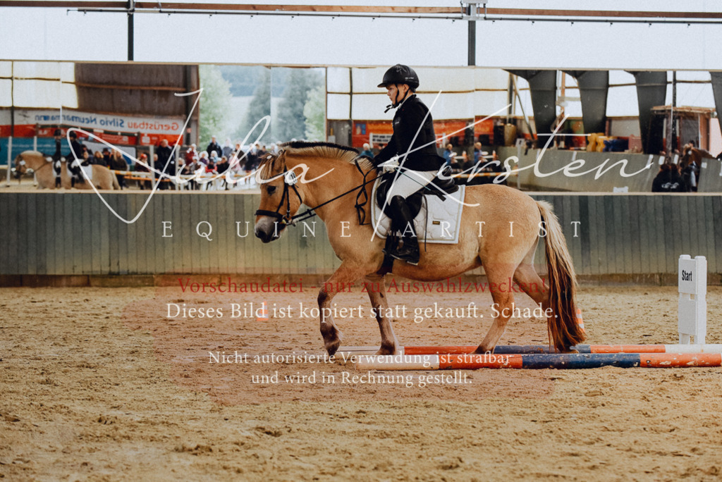 DSC_6818 | Pferde- und Turnierfotografie in Westsachsen. Pferdeportraits, Auftragszeichnungen und intuitive Kunst.