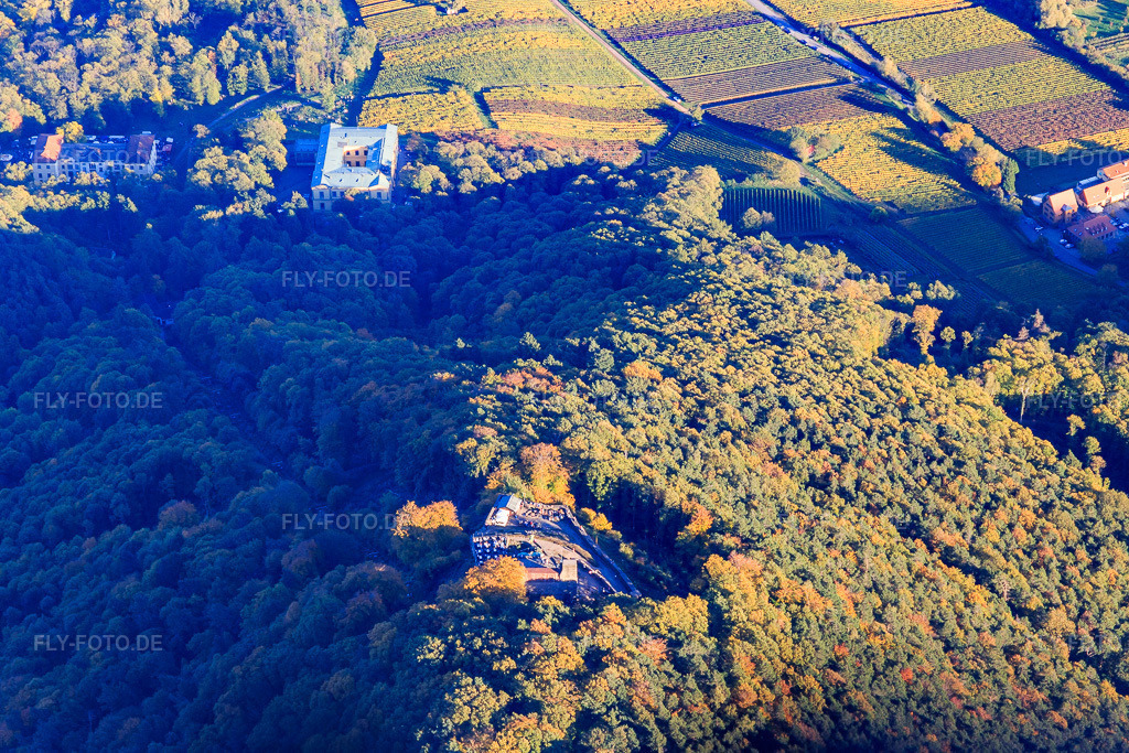 Luftbild: Burgruine und Höhengaststätte Rietburg aus Westen in Venningen im Bundesland Rheinland-Pfalz in Deutschland. Foto: IMG_104055.jpg vom 14.10.2017 durch Werner Riehm/FLY-FOTO.de