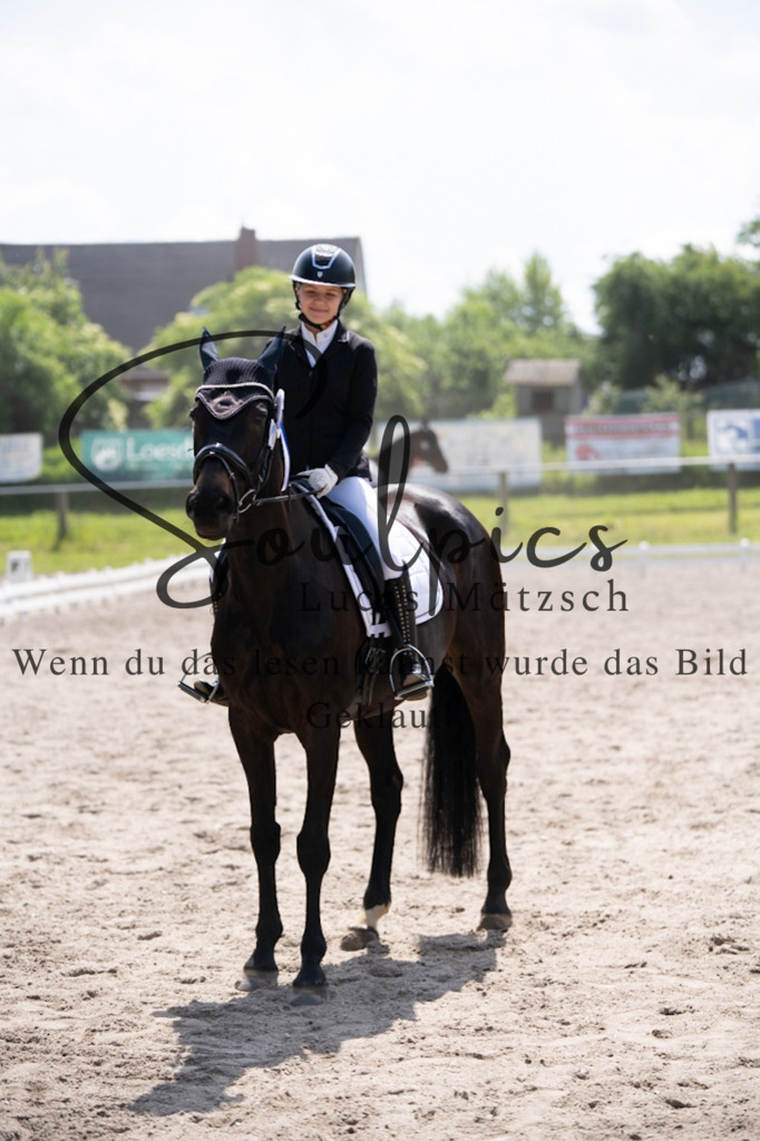 A7V02843 | Pferdefotograf