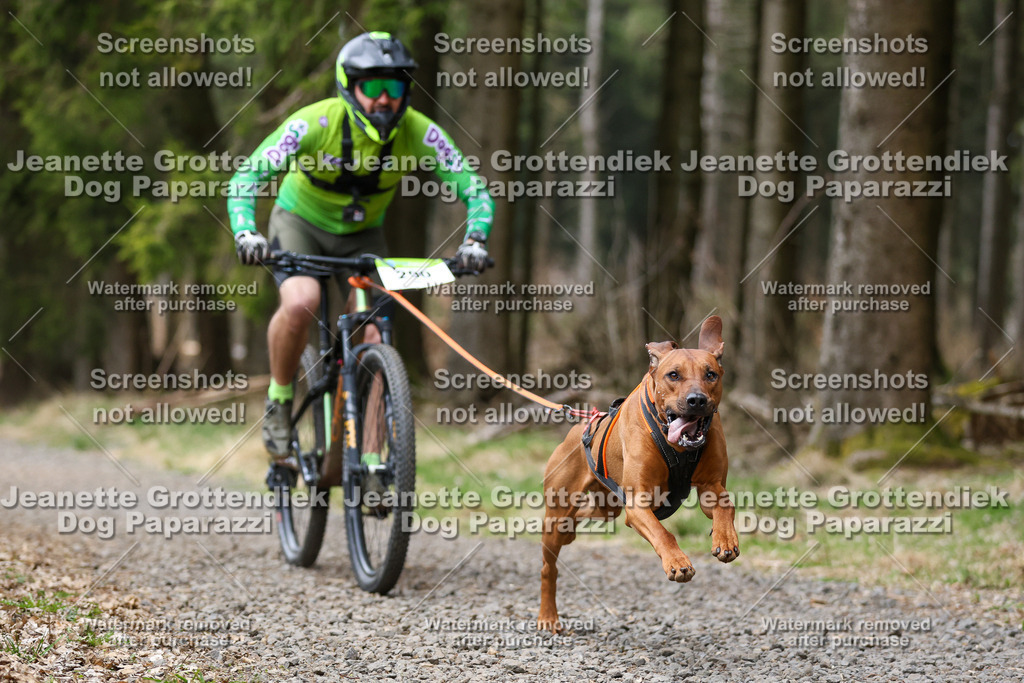 Dog Paparazzi - VCC26-541 | Dog Paparazzi Jeanette Grottendiek Fotografie & Videografie - Realisiert mit Pictrs.com