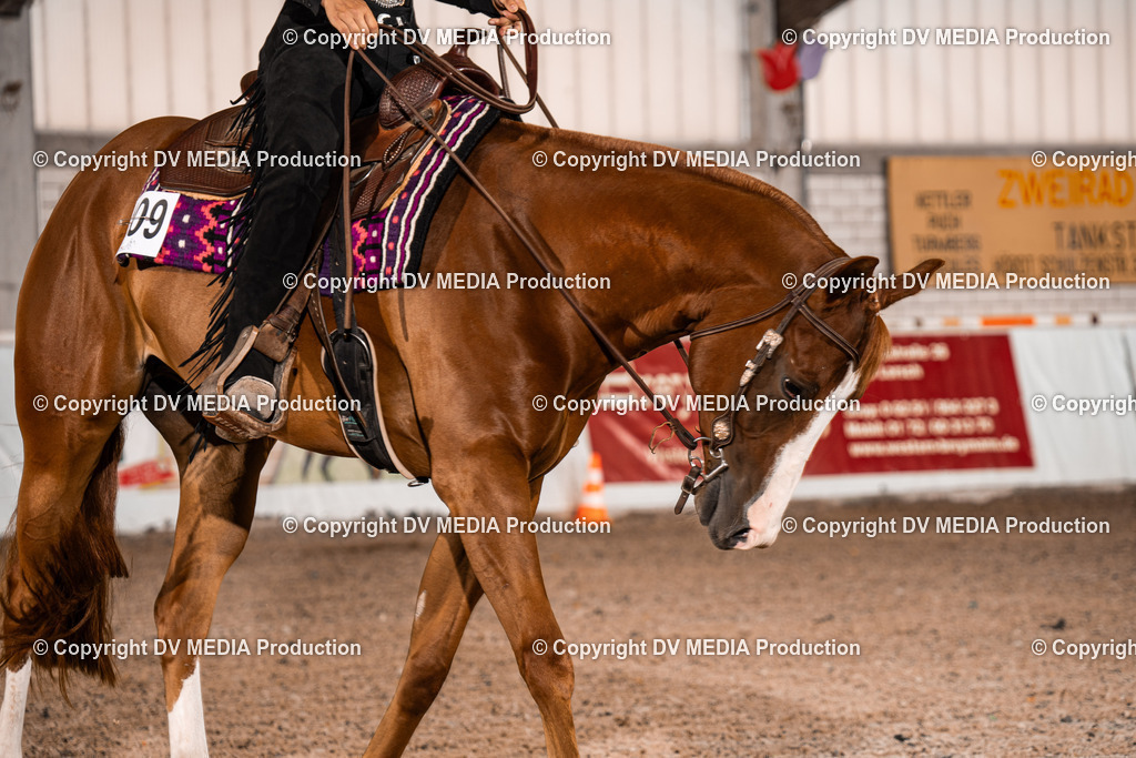 ZH100110 | dv-media-shop - Realisiert mit Pictrs.com