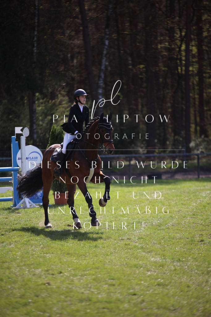 IMGT5876 | pl-fotografie