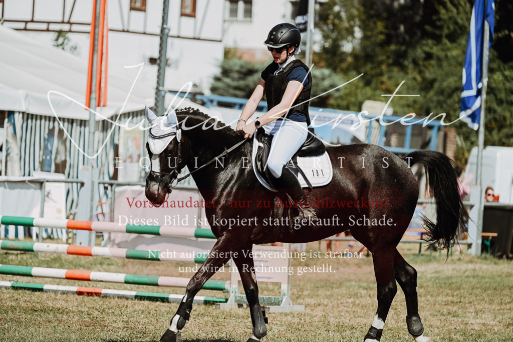 DSC_9838 | Pferde- und Turnierfotografie in Westsachsen. Pferdeportraits, Auftragszeichnungen und intuitive Kunst.