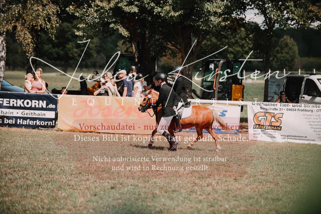 DSC_6008 | Pferde- und Turnierfotografie in Westsachsen. Pferdeportraits, Auftragszeichnungen und intuitive Kunst.