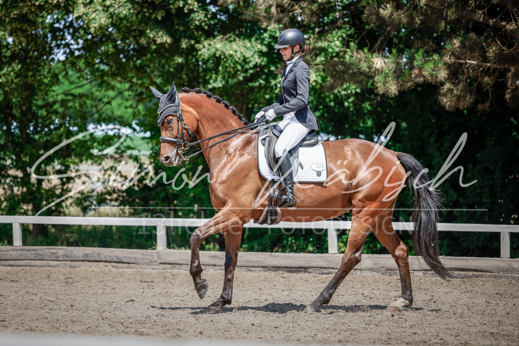 20250621-_3LI8499 | Tierfotografie Pferde, Hunde, Katzen, Haustiere.
Turnierfotografie Reitturniere, Reiten, Springreiten, Dressur in Hanau, dem Main-Kinzig-Kreis und dem Rhein-Main- Gebiet um Frankfurt