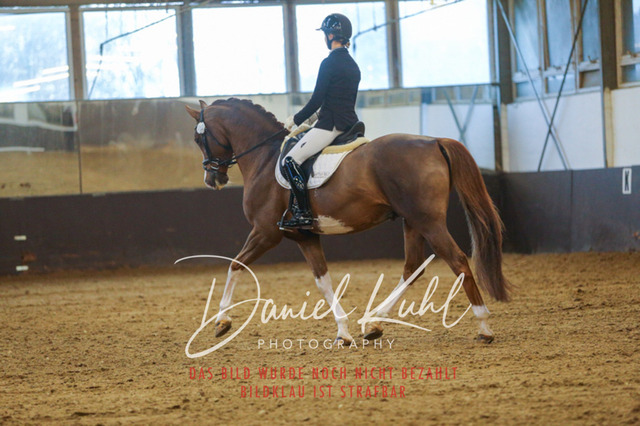 IMG_7153 | Turniersportfotografie; Pferdefotografie; Dressurfotografie