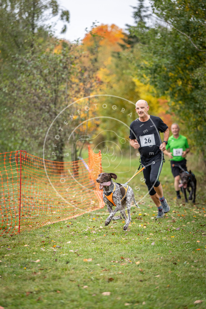 Pfotenfotografie_DV3A2003 | Hundefotografie, Tierfotograf, Pfotenfotografie, Fotoshooting Hund, Hunde Portrait, Hundesport, Hundeportraits, Heideshooting, Hunde, Sportfotograf, Hundefotograf, Turnierhundsport, THS,  - Realisiert mit Pictrs.com