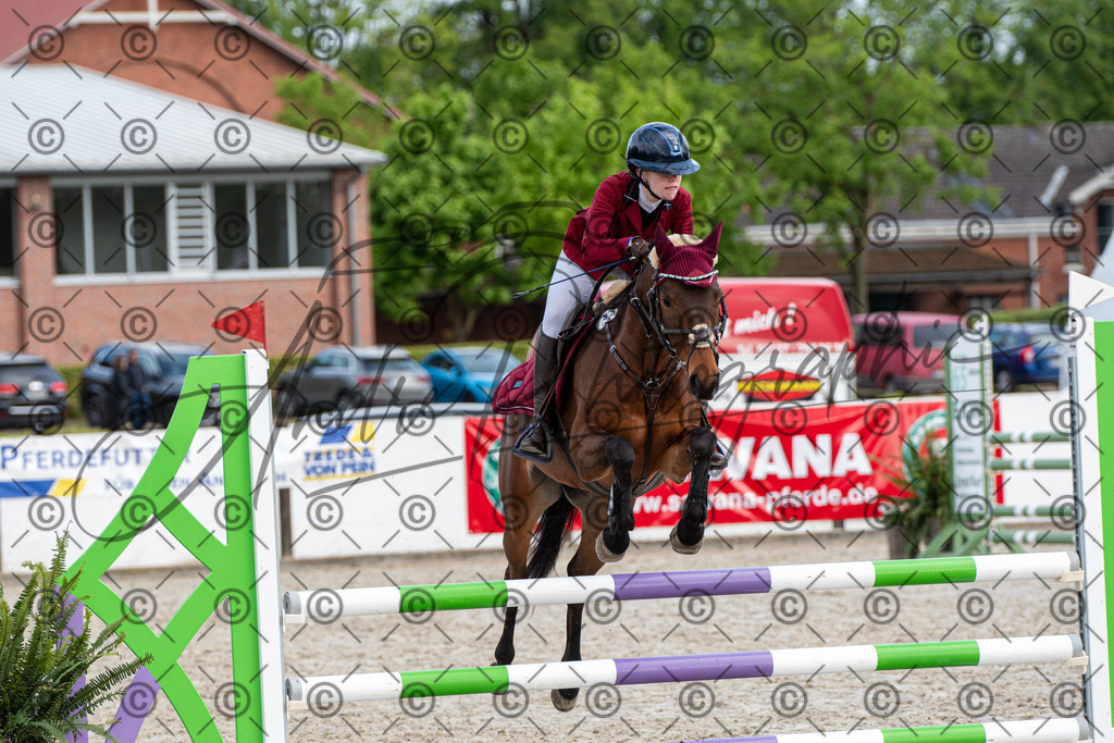 KPT_8012 | andre_photographic