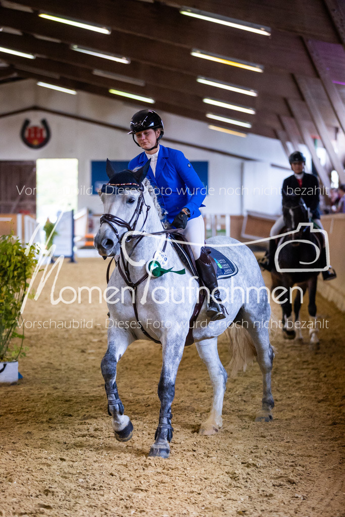 Sth-A-Springen-166 | MomenTaufnahmen Pferdesportfotos