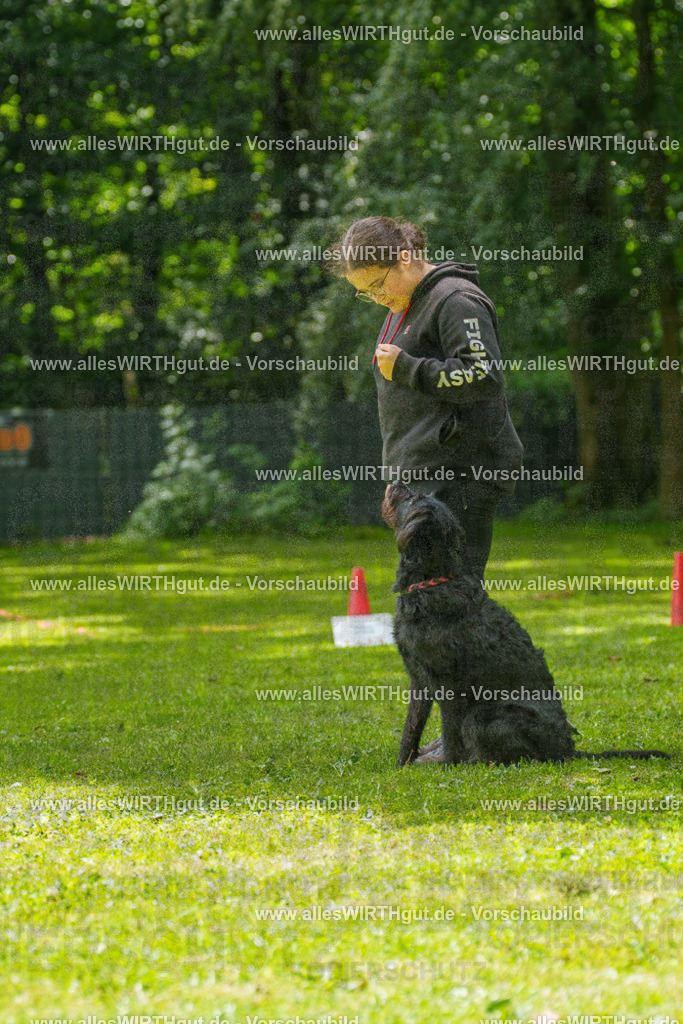 @allesWIRTHgut_Tierfotografie - www.allesWIRTHgut.de - 7R505292 | Professionelle Tierfotografie in Mönchengladbach von Daniel Wirth (allesWIRTHgut). Liebevolle & natürliche Bilder von Hunden & Katzen für unvergessliche Erinnerungen.
