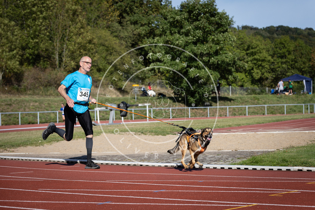 Pfotenfotografie_DV3A8598 | Hundefotografie, Tierfotograf, Pfotenfotografie, Fotoshooting Hund, Hunde Portrait, Hundesport, Hundeportraits, Heideshooting, Hunde, Sportfotograf, Hundefotograf, Turnierhundsport, THS,  - Realisiert mit Pictrs.com