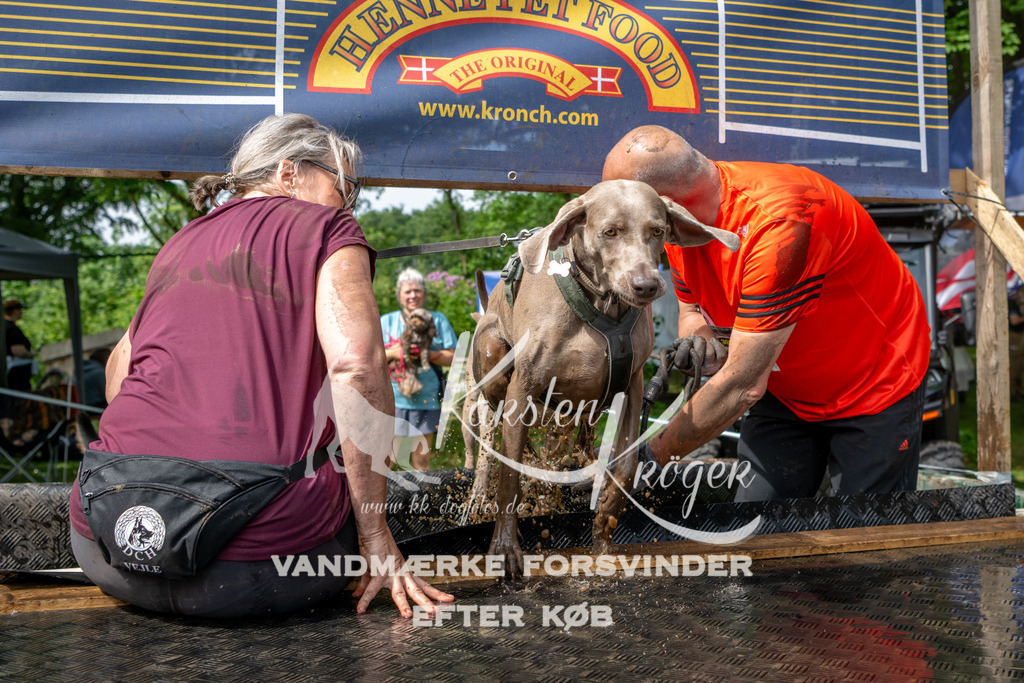 1031_ZZ91071 | kk-dogfotos