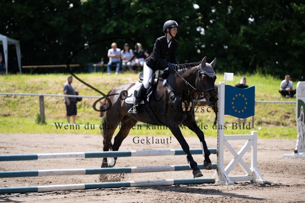 A7V04461 | Pferdefotograf