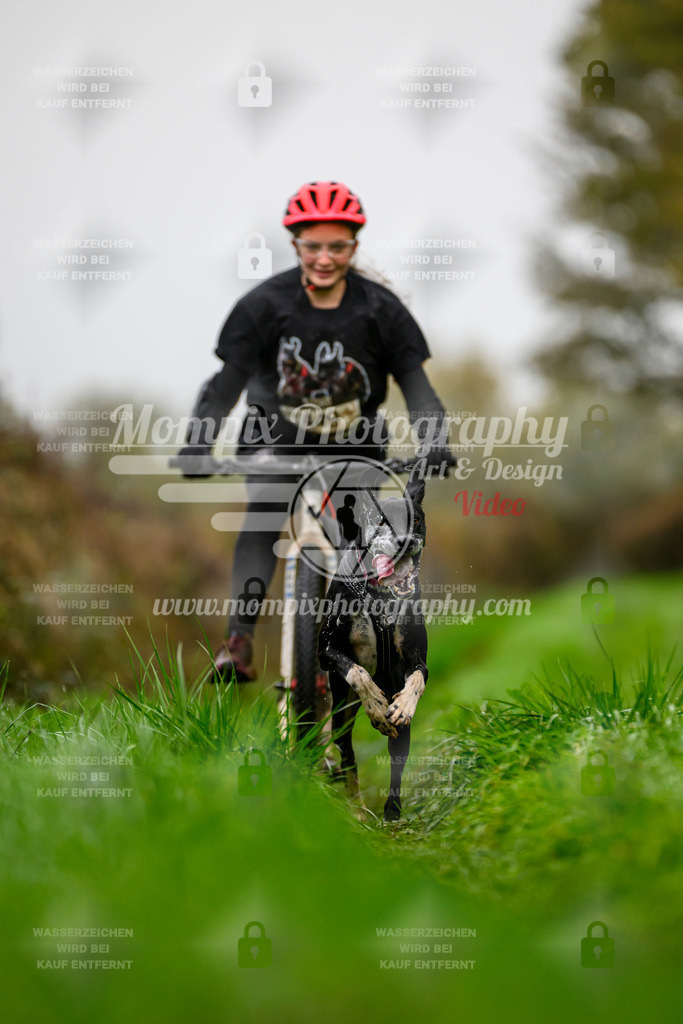 MompixPhotography_20TSB_E8_DS1-35 | PayLife