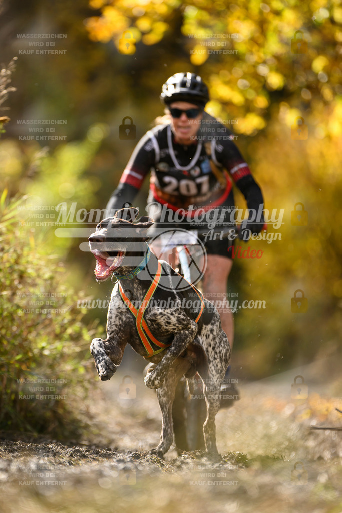 MompixPhotography_ICF_WC_2024_SA_Bike_-336 | PayLife