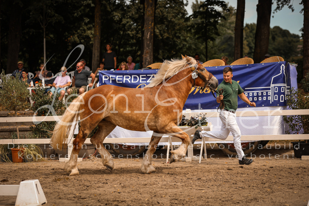 4.Sa00066 | Leoni Ertmer Photography - Realisiert mit Pictrs.com