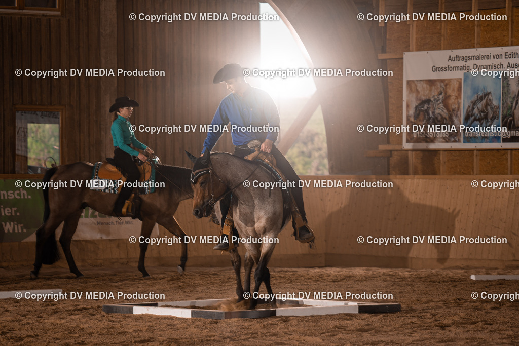 NE101316 | dv-media-shop - Realisiert mit Pictrs.com