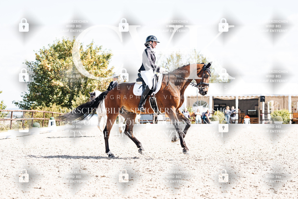 CK902939 | Turnierfotografie Pferdefotografie Trier Rheinland-Pfalz Pferdesport Reitsport Tierfotografie Sportfotografie Pferdevideo Pferdevideografie Equestrianvideography equestrianphotography  - Realisiert mit Pictrs.com