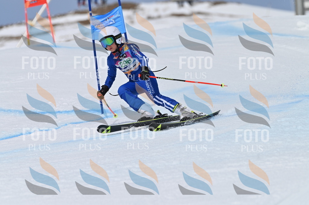 BGV_5906 | holidayphoto