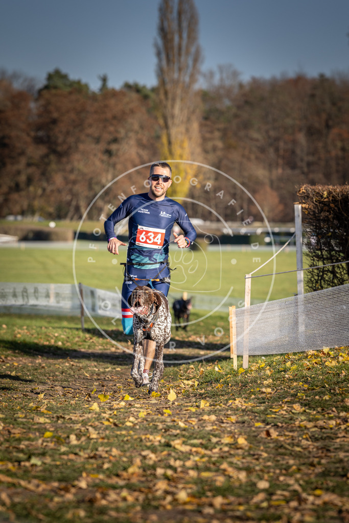 CaniXpix_DV3A0184 | Hundefotografie, Tierfotograf, Pfotenfotografie, Fotoshooting Hund, Hunde Portrait, Hundesport, Hundeportraits, Heideshooting, Hunde, Sportfotograf, Hundefotograf, Turnierhundsport, THS,  - Realisiert mit Pictrs.com