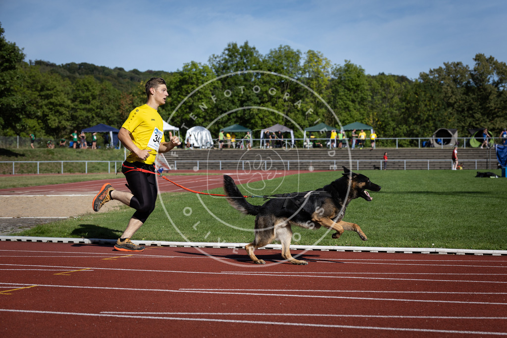Pfotenfotografie_DV3A8327 | Hundefotografie, Tierfotograf, Pfotenfotografie, Fotoshooting Hund, Hunde Portrait, Hundesport, Hundeportraits, Heideshooting, Hunde, Sportfotograf, Hundefotograf, Turnierhundsport, THS,  - Realisiert mit Pictrs.com