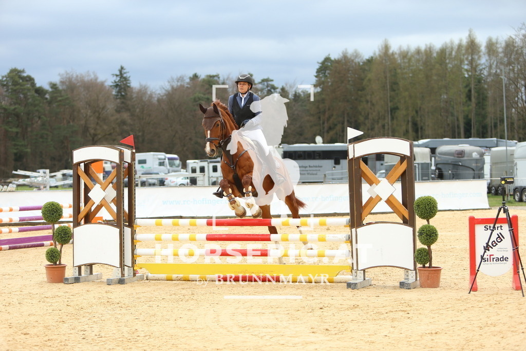 DL2Q1866 | Willkommen bei Brunnmayr - Design & Fotografie – Ihrem Spezialisten für Reitturniere und Pferdeveranstaltungen in Oberösterreich, Salzburg und Bayern! Seit über 17 Jahren sind wir leidenschaftlich dabei.