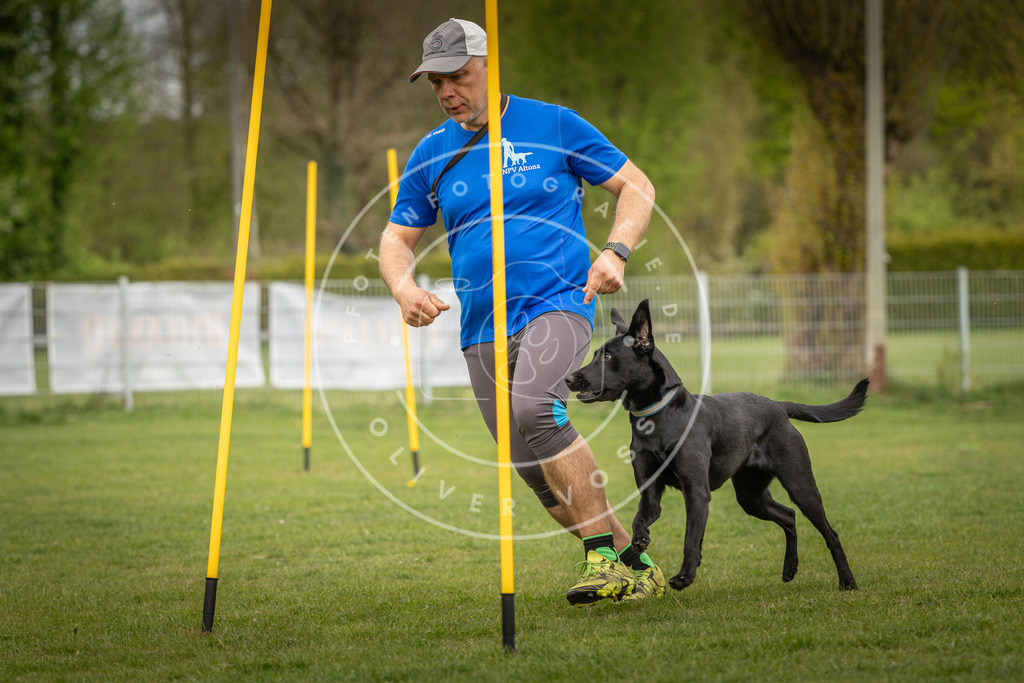 Pfotenfotografie_DV3A7224 | Hundefotografie, Tierfotograf, Pfotenfotografie, Fotoshooting Hund, Hunde Portrait, Hundesport, Hundeportraits, Heideshooting, Hunde, Sportfotograf, Hundefotograf, Turnierhundsport, THS,  - Realisiert mit Pictrs.com